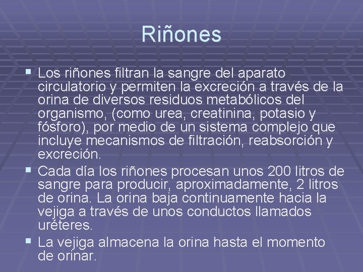 Riñones § Los riñones filtran la sangre del aparato circulatorio y permiten la excreción