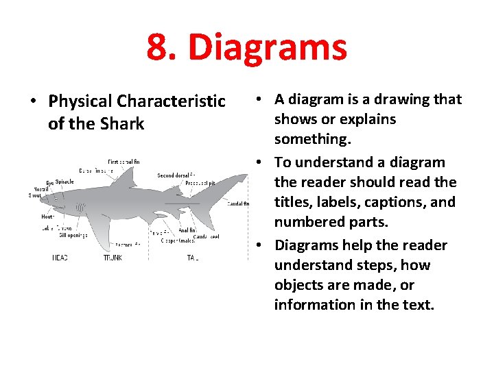 8. Diagrams • Physical Characteristic of the Shark • A diagram is a drawing