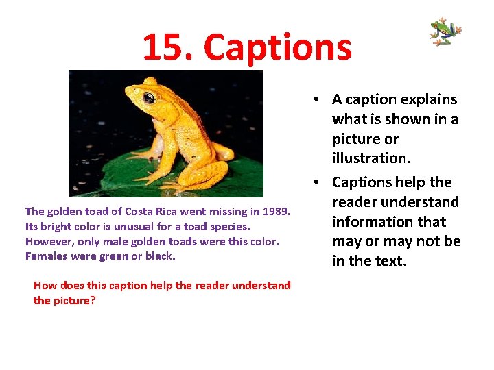 15. Captions The golden toad of Costa Rica went missing in 1989. Its bright