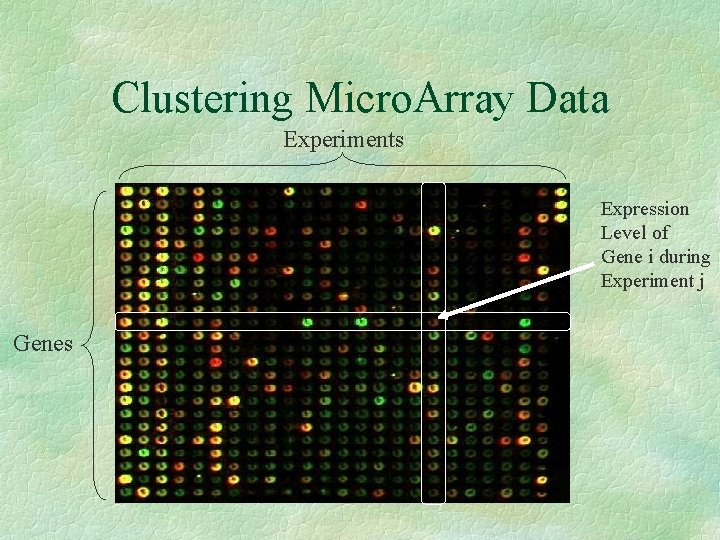 Clustering Micro. Array Data Experiments Expression Level of Gene i during Experiment j Genes
