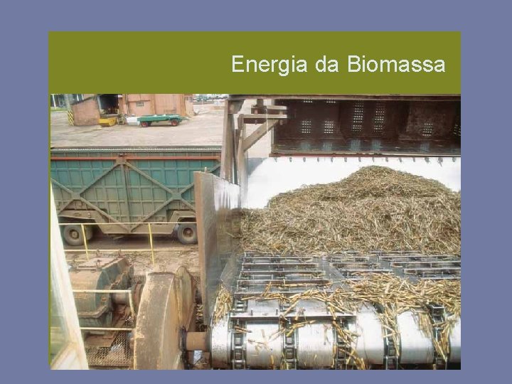 Energia da Biomassa 