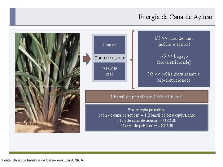 Energia da Cana de Açúcar 1 ton de Cana de açúcar 1718 x 10³