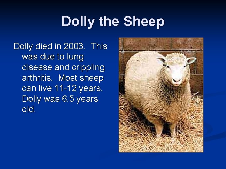 Dolly the Sheep Dolly died in 2003. This was due to lung disease and