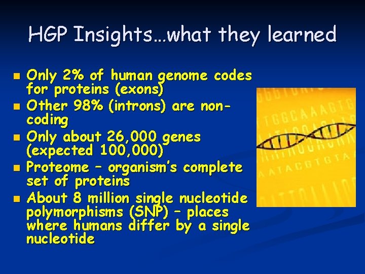 HGP Insights…what they learned n n n Only 2% of human genome codes for