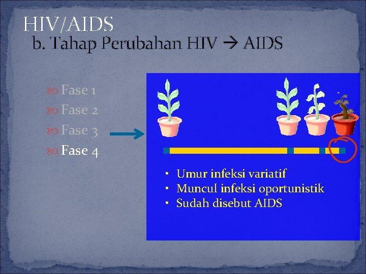 HIV/AIDS b. Tahap Perubahan HIV AIDS Fase 1 Fase 2 Fase 3 Fase 4