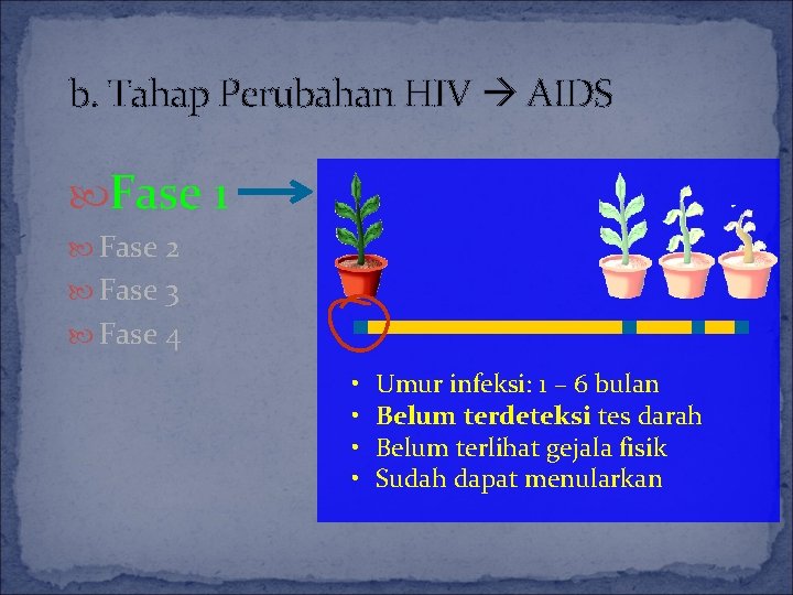 b. Tahap Perubahan HIV AIDS Fase 1 Fase 2 Fase 3 Fase 4 •