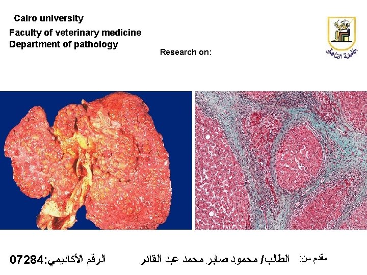 Cairo university Faculty of veterinary medicine Department of pathology 07284: ﺍﻟﺮﻗﻢ ﺍﻷﻜﺎﺩﻳﻤﻲ Research on: