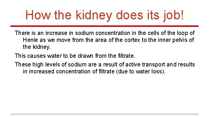 How the kidney does its job! There is an increase in sodium concentration in