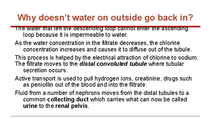 Why doesn’t water on outside go back in? The water that left the descending