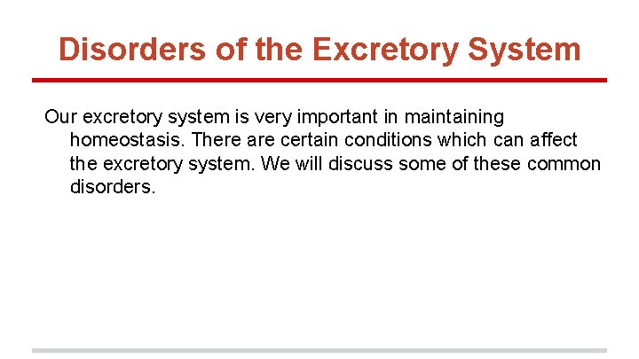 Disorders of the Excretory System Our excretory system is very important in maintaining homeostasis.