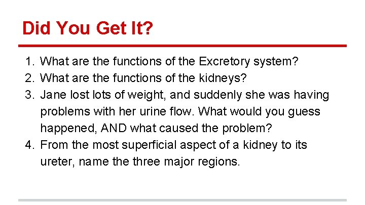 Did You Get It? 1. What are the functions of the Excretory system? 2.
