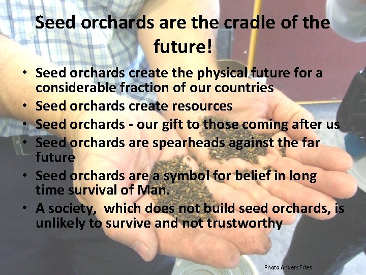 Seed orchards are the cradle of the future! • Seed orchards create the physical