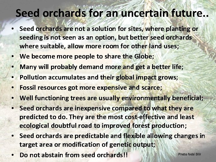 Seed orchards for an uncertain future. . • Seed orchards are not a solution