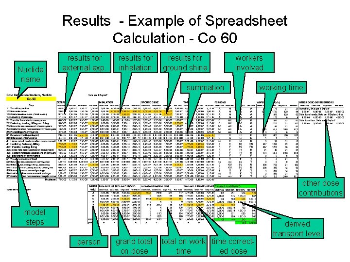 Results - Example of Spreadsheet Calculation - Co 60 Nuclide name results for external