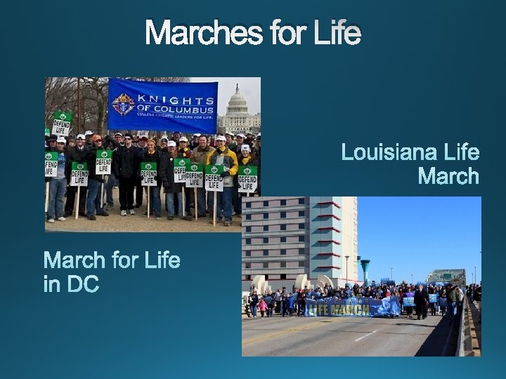 Marches for Life 