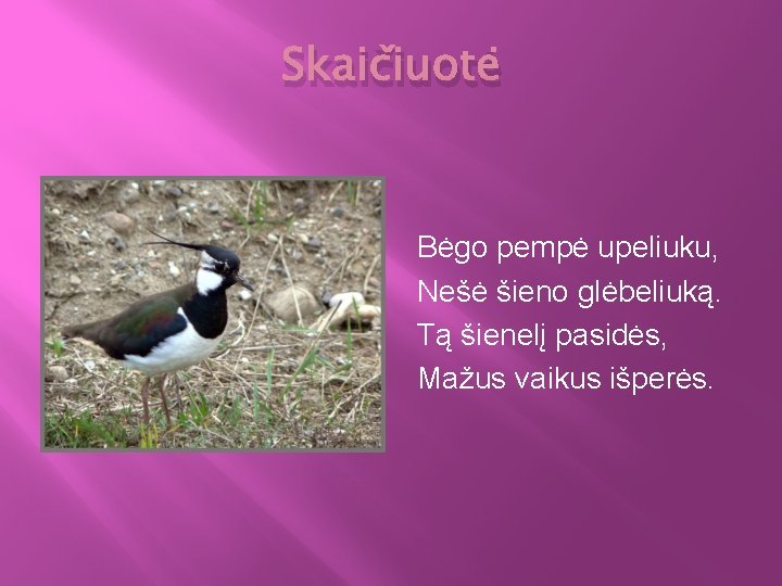 Skaičiuotė Bėgo pempė upeliuku, Nešė šieno glėbeliuką. Tą šienelį pasidės, Mažus vaikus išperės. 