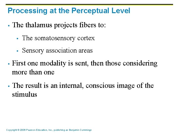 Processing at the Perceptual Level § § § The thalamus projects fibers to: § Processing at the Perceptual Level § § § The thalamus projects fibers to: §