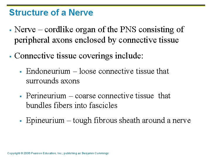 Structure of a Nerve § § Nerve – cordlike organ of the PNS consisting Structure of a Nerve § § Nerve – cordlike organ of the PNS consisting