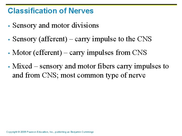 Classification of Nerves § Sensory and motor divisions § Sensory (afferent) – carry impulse Classification of Nerves § Sensory and motor divisions § Sensory (afferent) – carry impulse