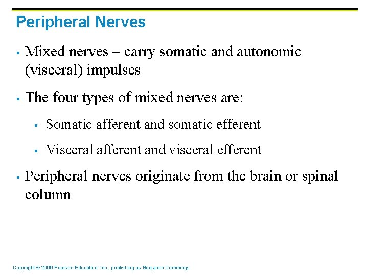 Peripheral Nerves § § § Mixed nerves – carry somatic and autonomic (visceral) impulses Peripheral Nerves § § § Mixed nerves – carry somatic and autonomic (visceral) impulses