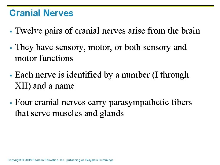 Cranial Nerves § § Twelve pairs of cranial nerves arise from the brain They Cranial Nerves § § Twelve pairs of cranial nerves arise from the brain They