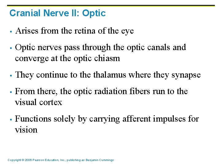 Cranial Nerve II: Optic § § § Arises from the retina of the eye Cranial Nerve II: Optic § § § Arises from the retina of the eye