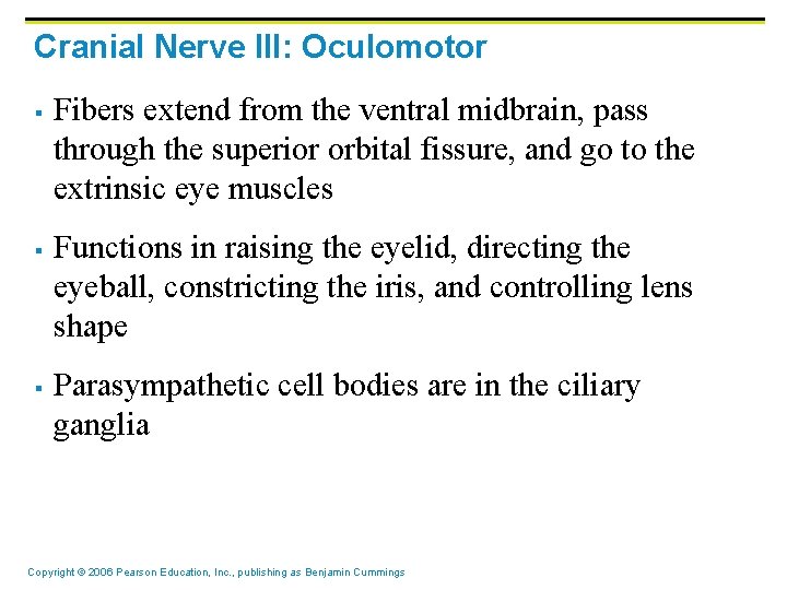 Cranial Nerve III: Oculomotor § § § Fibers extend from the ventral midbrain, pass Cranial Nerve III: Oculomotor § § § Fibers extend from the ventral midbrain, pass