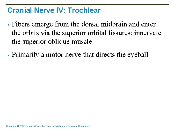Cranial Nerve IV: Trochlear § § Fibers emerge from the dorsal midbrain and enter Cranial Nerve IV: Trochlear § § Fibers emerge from the dorsal midbrain and enter