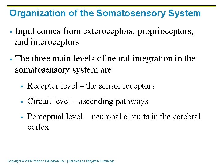 Organization of the Somatosensory System § § Input comes from exteroceptors, proprioceptors, and interoceptors Organization of the Somatosensory System § § Input comes from exteroceptors, proprioceptors, and interoceptors