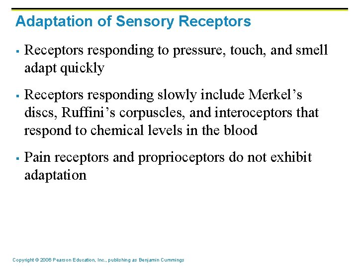 Adaptation of Sensory Receptors § § § Receptors responding to pressure, touch, and smell Adaptation of Sensory Receptors § § § Receptors responding to pressure, touch, and smell