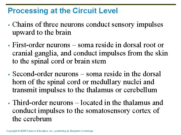 Processing at the Circuit Level § § Chains of three neurons conduct sensory impulses Processing at the Circuit Level § § Chains of three neurons conduct sensory impulses