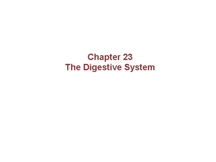 Chapter 23 The Digestive System 