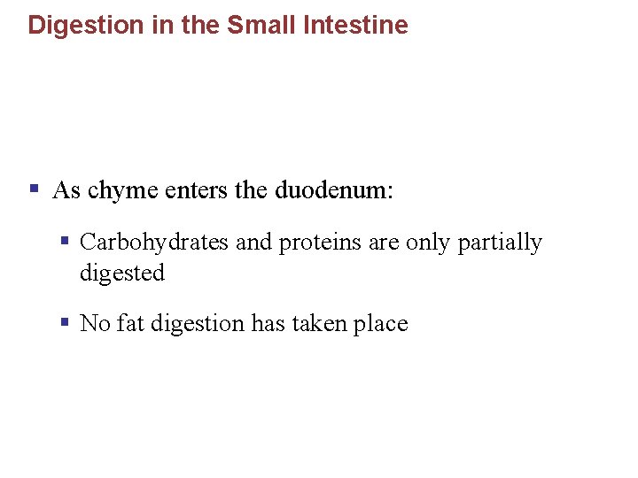 Digestion in the Small Intestine § As chyme enters the duodenum: § Carbohydrates and