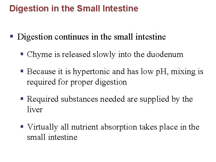 Digestion in the Small Intestine § Digestion continues in the small intestine § Chyme