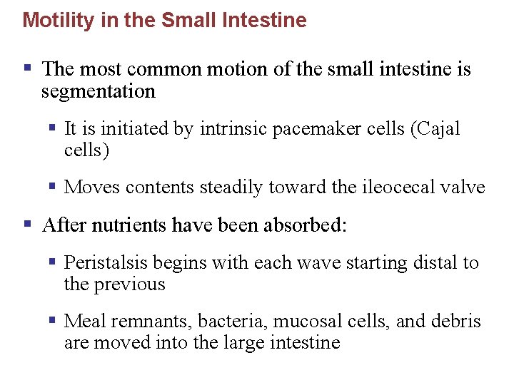 Motility in the Small Intestine § The most common motion of the small intestine