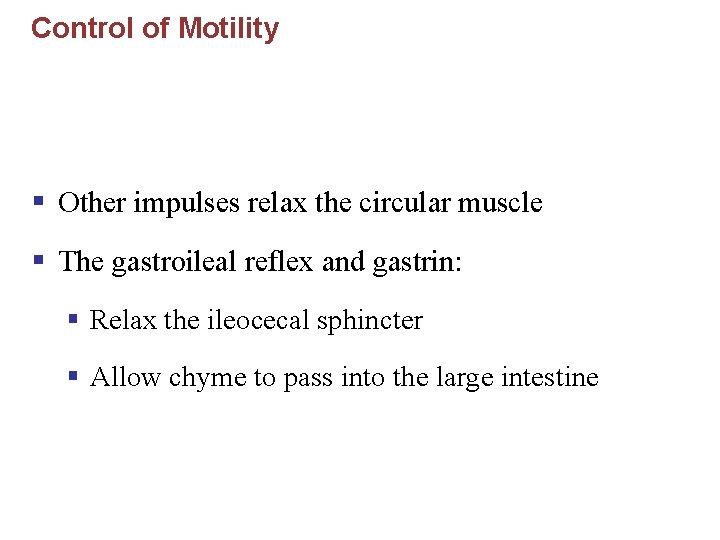 Control of Motility § Other impulses relax the circular muscle § The gastroileal reflex