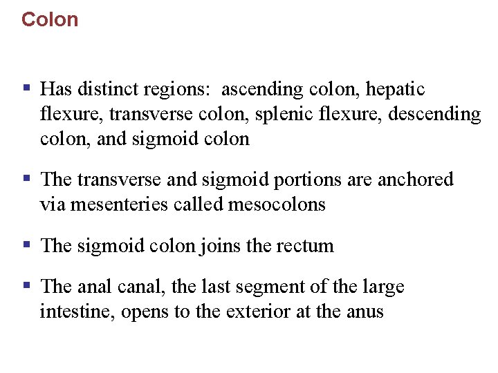Colon § Has distinct regions: ascending colon, hepatic flexure, transverse colon, splenic flexure, descending