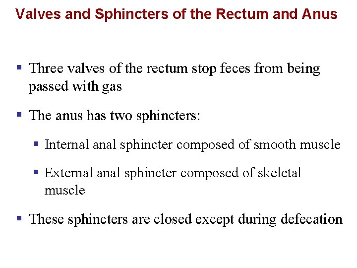 Valves and Sphincters of the Rectum and Anus § Three valves of the rectum