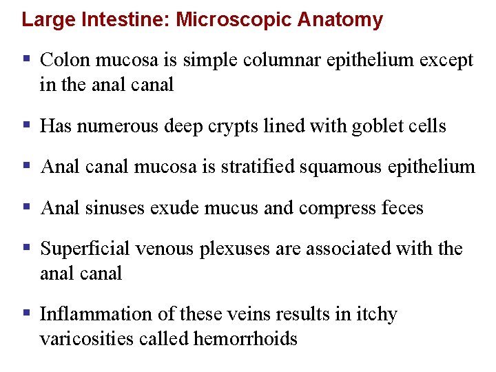 Large Intestine: Microscopic Anatomy § Colon mucosa is simple columnar epithelium except in the