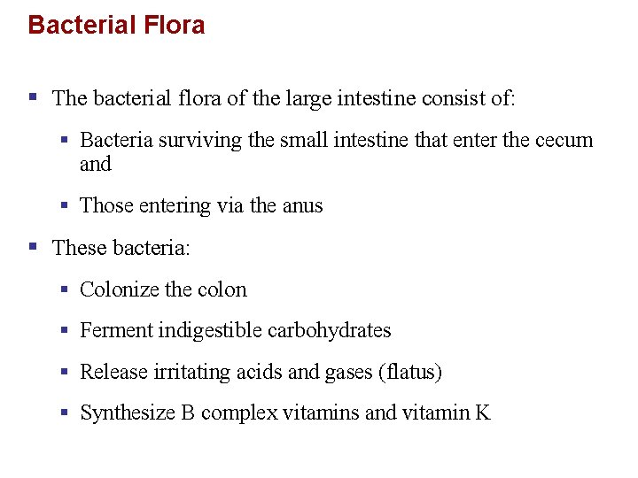 Bacterial Flora § The bacterial flora of the large intestine consist of: § Bacteria