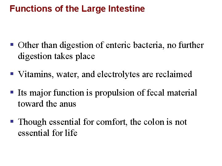 Functions of the Large Intestine § Other than digestion of enteric bacteria, no further