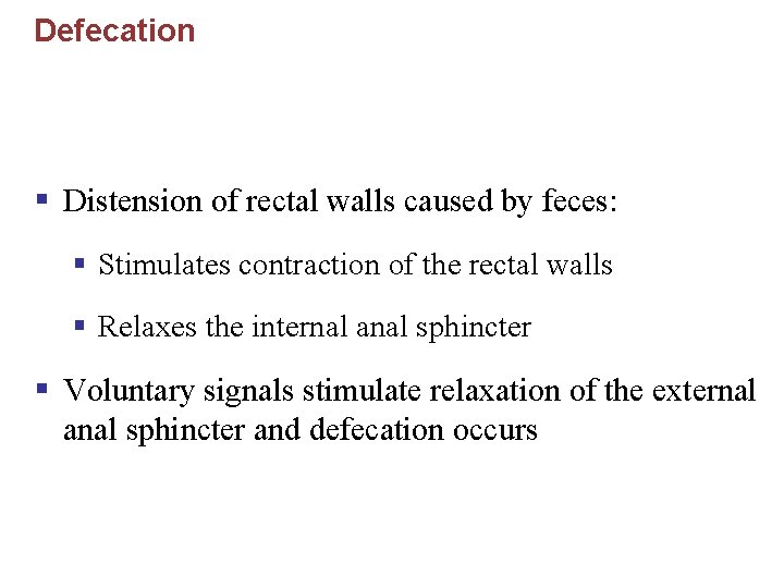 Defecation § Distension of rectal walls caused by feces: § Stimulates contraction of the