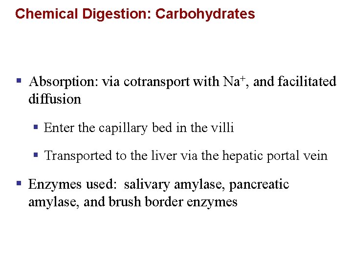 Chemical Digestion: Carbohydrates § Absorption: via cotransport with Na+, and facilitated diffusion § Enter