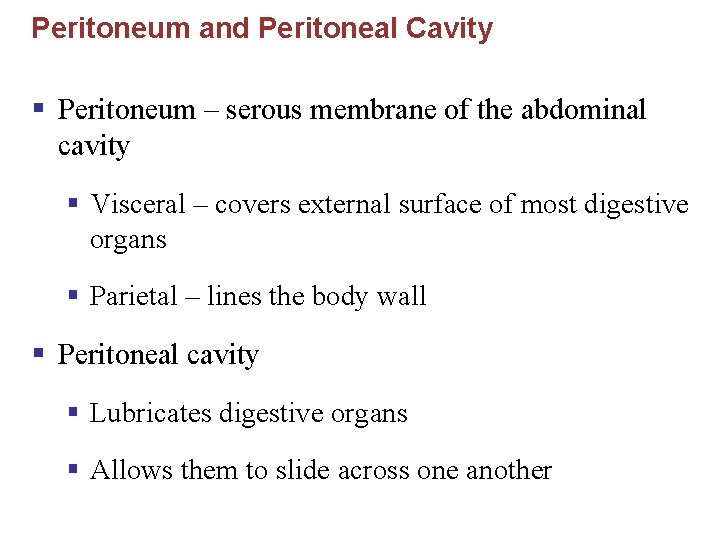 Peritoneum and Peritoneal Cavity § Peritoneum – serous membrane of the abdominal cavity §