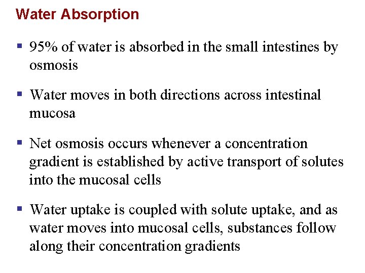 Water Absorption § 95% of water is absorbed in the small intestines by osmosis