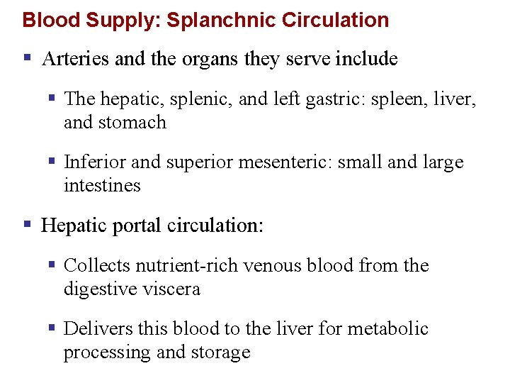 Blood Supply: Splanchnic Circulation § Arteries and the organs they serve include § The