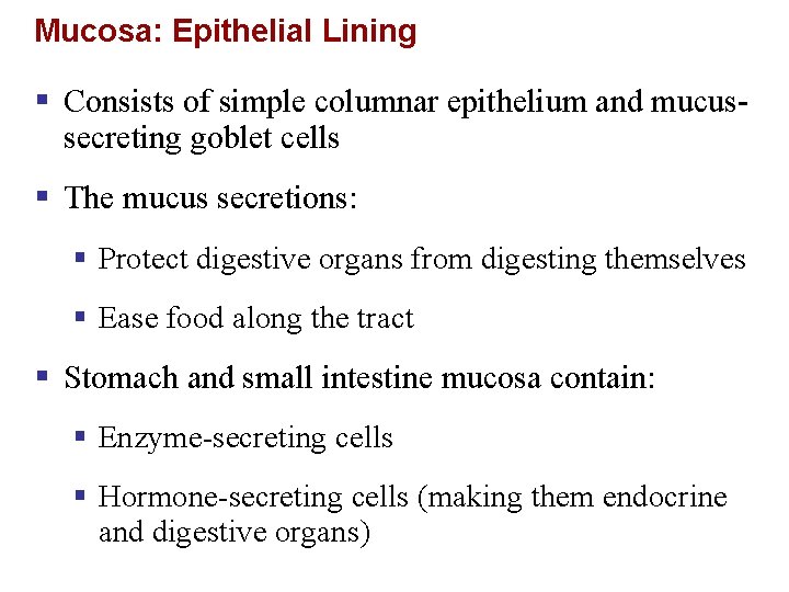 Mucosa: Epithelial Lining § Consists of simple columnar epithelium and mucussecreting goblet cells §