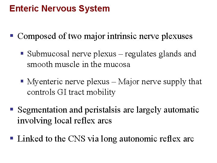 Enteric Nervous System § Composed of two major intrinsic nerve plexuses § Submucosal nerve