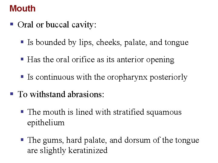 Mouth § Oral or buccal cavity: § Is bounded by lips, cheeks, palate, and