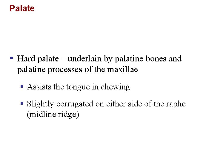 Palate § Hard palate – underlain by palatine bones and palatine processes of the